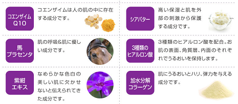 �V�g�̔��A�Ό��̌��R�~